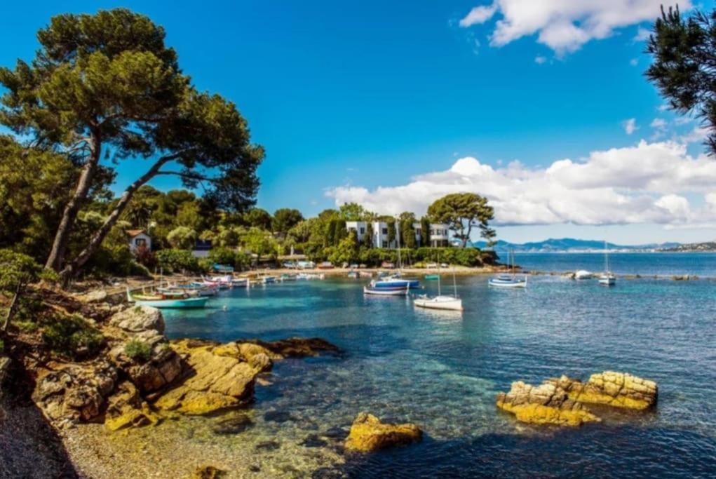Charmant Studio Renove A Antibes, Plage A 10 Min A Pied Eksteriør billede