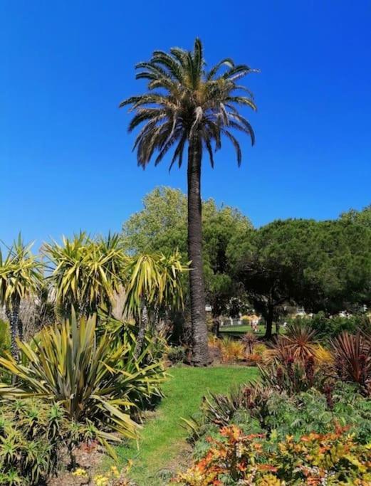Charmant Studio Renove A Antibes, Plage A 10 Min A Pied Eksteriør billede